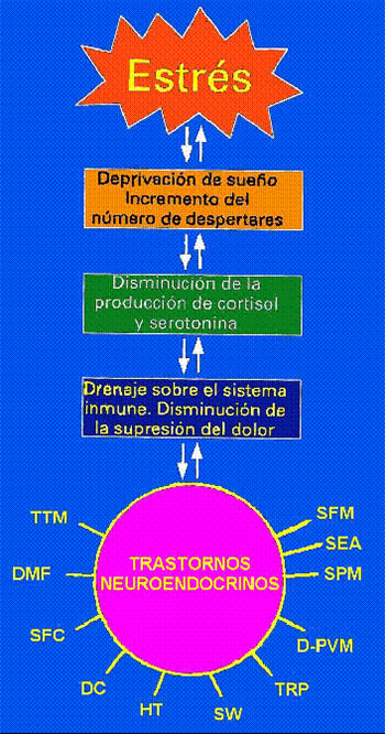 Relaciones del Stress y la disminución del sueño con el sistema inmune, que termina produciendo trastornos neuroendocrinos. TTM = trastornos temporomandibulares; DMF = trastornos de dolor miofascial; SFC = síndrome de fatiga crónica; DC = depresión crónica; HT = hipotiroidismo; SW = síndrome de Wilson; TRP = trastorno de retroalimentación de prolactina; D-PVM = disautonomía con prolapso de la válvula mitral; S PM = síndrome pre- menstrual; SEA = síndrome de exceso de andrógenos; SFM = síndrome de fibromialgia.