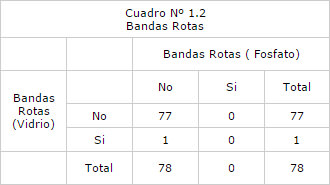 >Cuadro Nº 1.2 Bandas Rotas