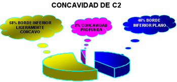 Distribución de la frecuencia de la concavidad de la segunda vértebra cervical