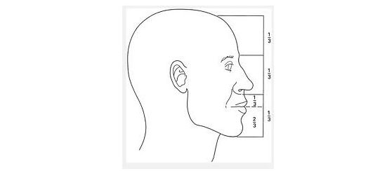 Профиль поэтапно. Пропорции головы ребенка. Голова детская в профиль лепить поэтапно.
