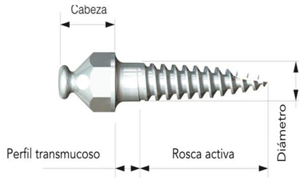 1 Pieza Ortodoncia Micro Implantes Mini Tornillo Autorroscantes 