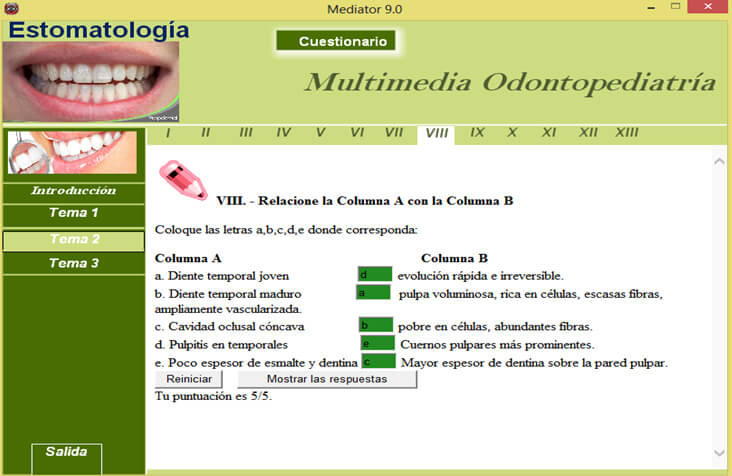 Imagen 3. Pregunta VIII de enlace del tema 2