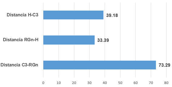 Gráfico 2. Promedio de las medidas para el análisis de la ubicación del hueso hioides.