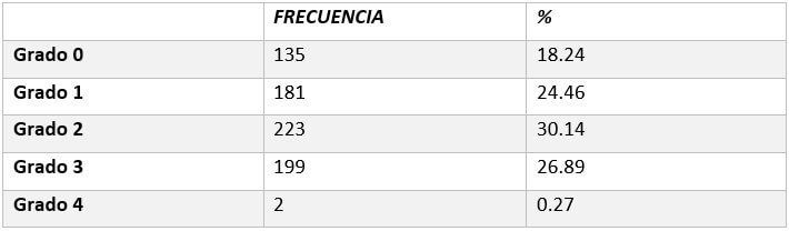 Gráfico N° 1