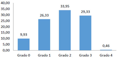 Gráfico N° 2