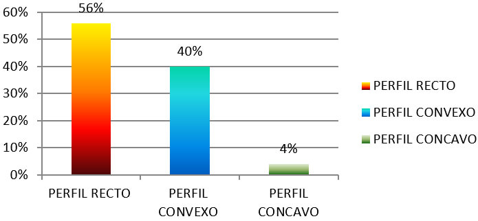 Gráfica N° 6 de las Características faciales (perfil)