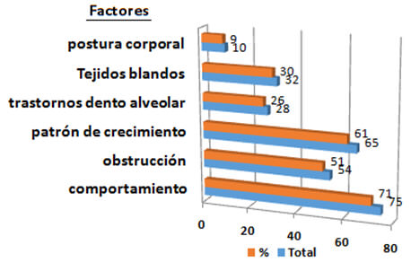 Gráfico 3. Representación de los factores que influyen en el origen de la adaquia. 