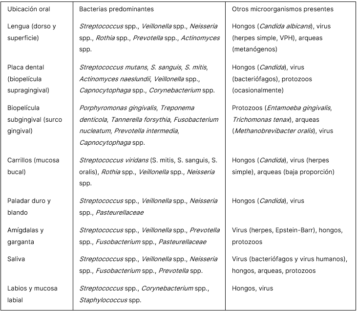Composición y distribución del oraloma