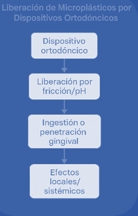 Figura 2: Proceso de liberación de MPs de dispositivos ortodóncico