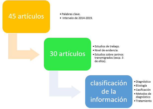 Fig. 2. Cuadro de decisión para escoger la técnica apropiada en un canino incluido, modificada de los criterios descritos por Cooke J, et al.7