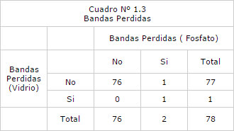 Cuadro Nº 1.3 Bandas Perdidas