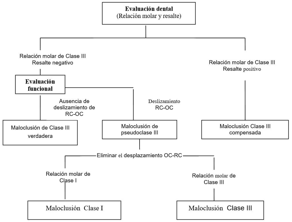 Fig. 11. Esquema diagnostico para las mordidas cruzadas anteriores dental y esquelética. Tomado de Ngan y cols)
