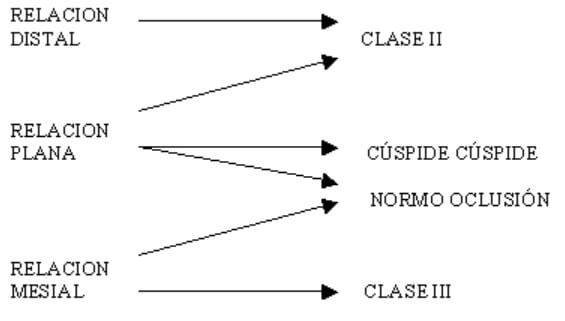 Cuadro 2 CRITERIOS DE NORMALIDAD DE OCLUSION PARA DENTICIÓN PRIMARIA