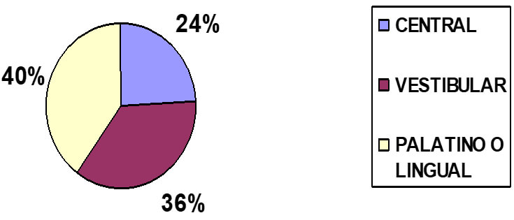 Gráfico 10 Respecto al estado radicular de los dientes