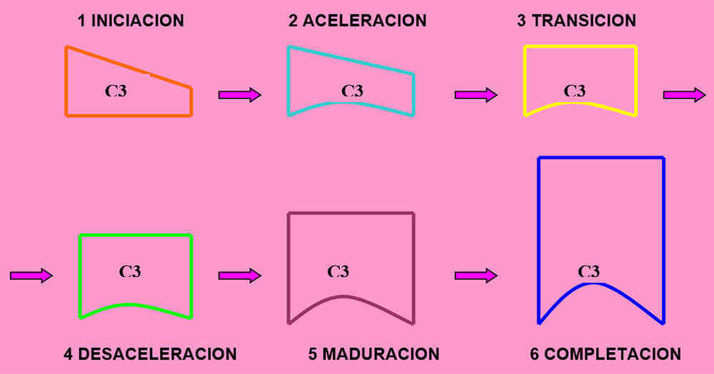 FIG.9 INDICADORES DE MADURACION USANDO LA TERCERA VERTEBRA CERVICAL