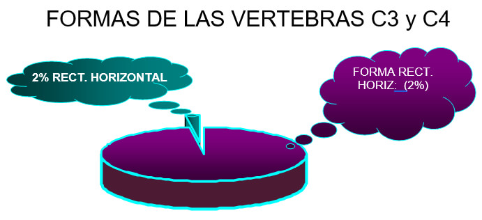 GRAFICO 6 Distribución de la frecuencia de las formas de la tercera y cuarta vértebra cervical