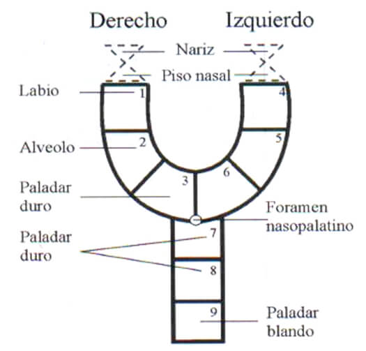 Fig. 1 Gráfica De Kernahan. Fuente Rozen Fuller 2000
