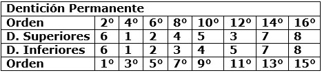 Tabla 2 Orden de Erupción para la Segunda Dentición