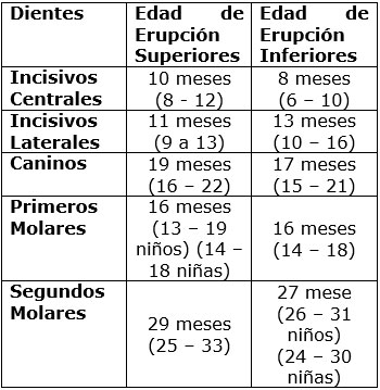 Tabla 3 Cronología de Erupción para la Dentición Decidua. De Logan y Kronfeld y ligeramente modificada por McCall y Schour.