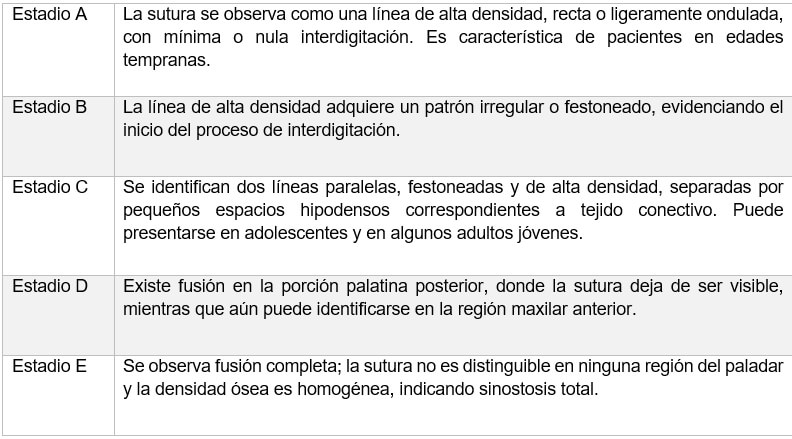 Tabla 1. Estadios de maduración de la Sutura Palatina Media 21
