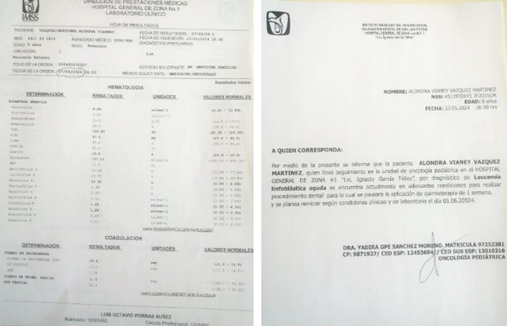 Figura 2