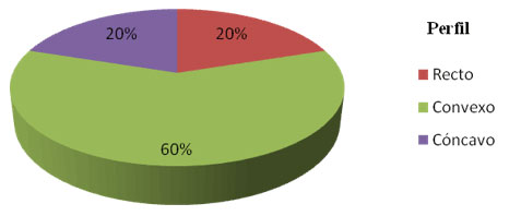 Gráfico 2 Perfil Facial Cefalométrico de los participantes