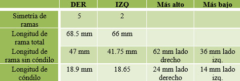 Tabla 7 Resultados Trazado de Tatis comparativos en Cóndilo y Rama mandibular mandibular.