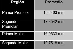 Tabla 1 Distancia promedio entre la A.A.A y la región cervical de los órganos dentarior
