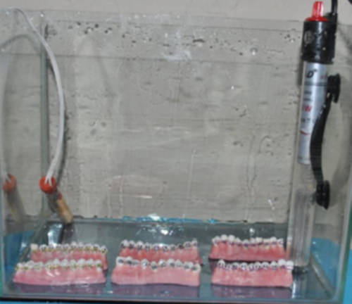Fig. 2 Experimento en Medio Húmedo