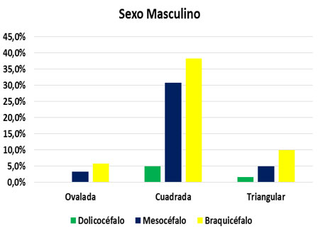 Morfología craneal con ancho maxilar en el sexo femenino y masculino.