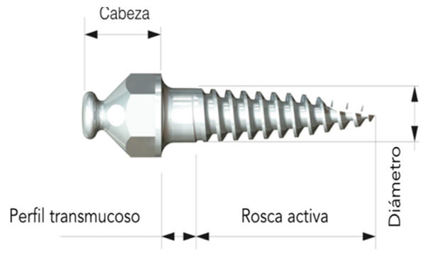 Imagen 1 Partes del mini implante 30