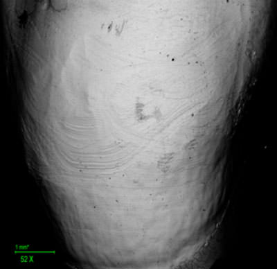Anexo C SEM de esmalte pulido tratado con piedra Arkansas a 50x