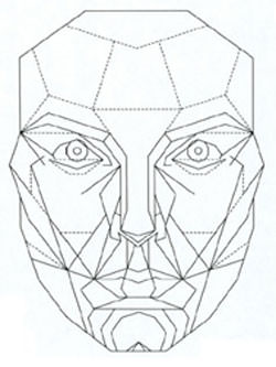 Imág. 1 Golden Proportion Instructions PANADENT GUIDE (6)