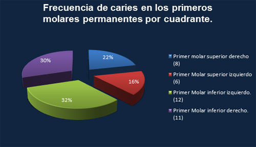 Grafico 8 Fuente: elaboración propia