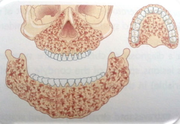 Figura 5