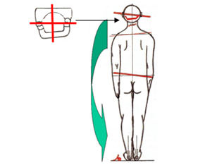 Síndrome postural descendente. Tomada Conferencia impartida en las 7ª Jornadas de Encuentro Pediatría Odontopediatría, España 2.006 