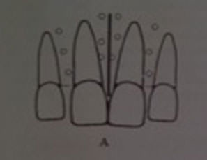 Figura 5