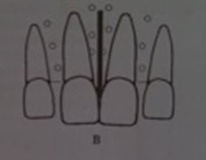 Figura 7