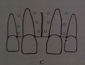 Figura 9