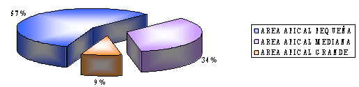 GRÁFICO 1: Tamaño del área apical anterior mandibular