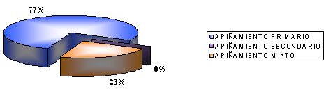 GRÁFICO 3: Clasificación del apiñamiento según etiología