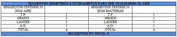 Tabla 6 Segmentos de cadena para microscopia de barrido.