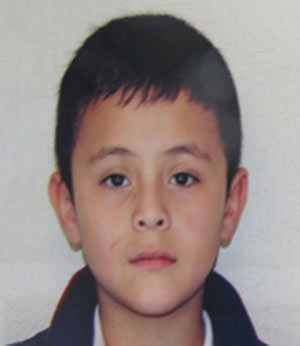 Figura 1