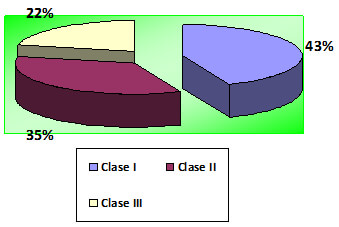 Gráfico N° 4