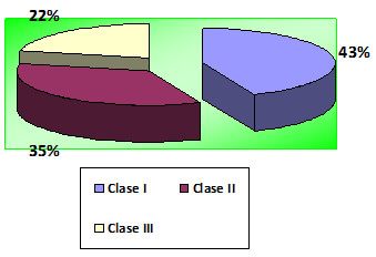 Gráfico N° 5