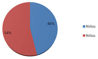 Gráfico 1 Distribución por sexos