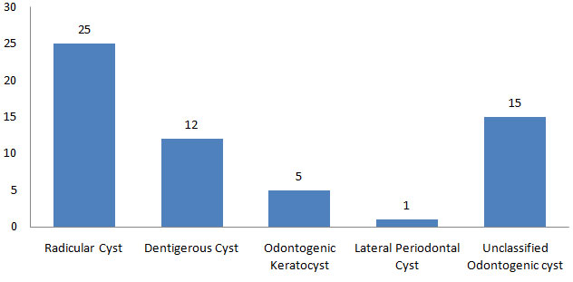 Figure 2 Distribution of odontogenic cysts by frequency (1987-2005).