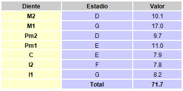 Huesos del Carpo