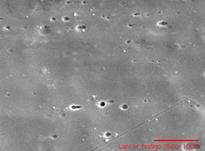 c Fig.5 Photomicrographs showing the extent of bacterial establishment in orthodontic arches. "Lancer". a)arc uncoated, b)arc-coated with TiO2, c) arc witness. 2500X
