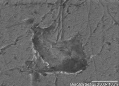 c Fig.7 Photomicrographs showing the extent of corrosion orthodontic arches "Borgatta".